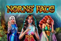 RTP Playngo honeyslot777