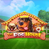 RTP pragmatic honeyslot777